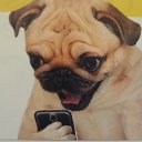 ���� �����, ������� - ��������� 2 ������ 2016