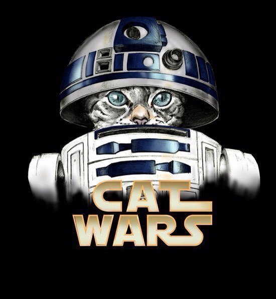 Cat wars - 5