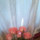���� �������, ��������� - ��������� 30 ������ 2015 � ������ ������ ��������