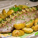 ���� ���, ��������, 51 ��� - ��������� 28 ������� 2015 � ������ ������ ��������