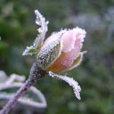  ••,  -  15  2015   