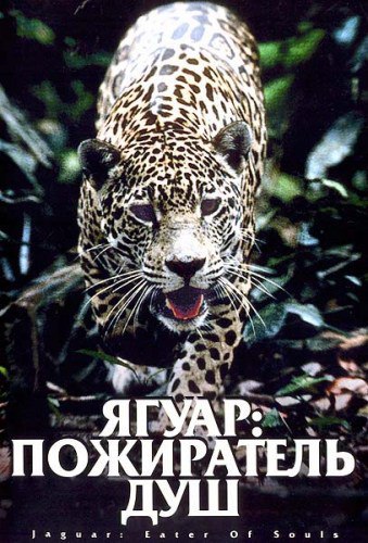 �����: ���������� ���.(Jaguar: Eater of Souls)�������� ���� �������� - ��������� ��������� ��� ...
