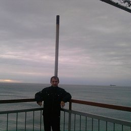 ���� ��������, �����-���������, 39 ��� - ��������� 15 ������� 2015