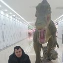 ���� ����, �����, 46 ��� - ��������� 24 ������ 2015 � ������ ���� ����������