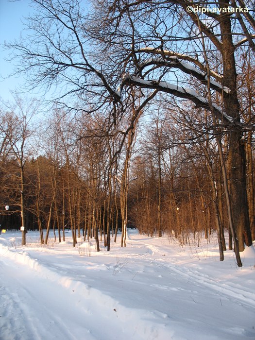 dipi-avatarka - 21 января 2016 в 16:50