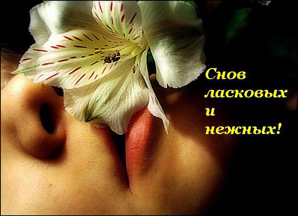 "�������" - 3 ������ 2015 � 23:55