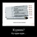 ���� ������, �������, 38 ��� - ��������� 8 ������ 2016 � ������ ������ ��������