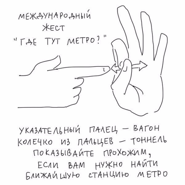 Собираешься за границу, но не знаешь местного языка? Не помешает выучить несколько простых ... - 2