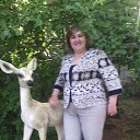 ���� �������, ���������, 53 ���� - ��������� 25 �������� 2015 � ������ ���� ����������