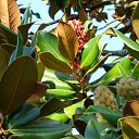 ���� �����, ������ - ��������� 2 ������� 2015 � ������ ������ ��������