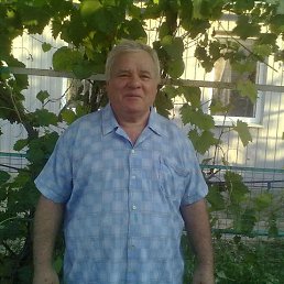 ������, ���������