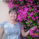 ���� �������, ��������, 49 ��� - ��������� 17 ������� 2015