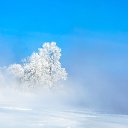 ���� ������, �������, 53 ���� - ��������� 8 ����� 2016 � ������ ������ ��������