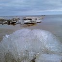 ���� ������, ���������, 64 ���� - ��������� 30 �������� 2015 � ������ �����