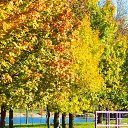 ���� Oksana, ����� - ��������� 14 ������� 2015 � ������ ���� ����������