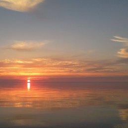 ��������, �����������, 61 ���