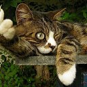 ���� �����, ����, 55 ��� - ��������� 10 ������ 2015 � ������ ���� ����������