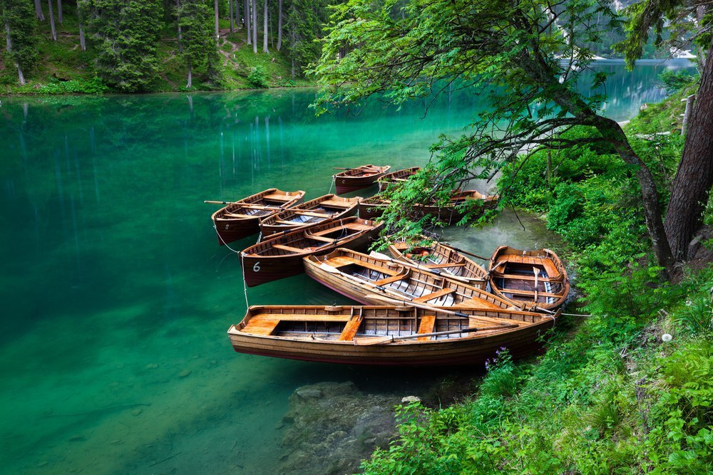 ����� ������ � ����������� ��������� �����-������ � ��������, ����� ���������� ����� � ������. ... - 4