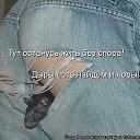 ���� �����, ��� - ��������� 2 ������ 2016 � ������ ������ ��������
