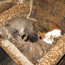 ���� ������. �� �����., ���� - ��������� 5 ������ 2016 � ������ ������ ��������