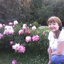 ���� ���������, ������������ - ��������� 23 ������ 2015 � ������ ���� ����������