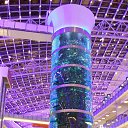 ���� �����, �����������, 66 ��� - ��������� 22 ������� 2016 � ������ ���� ����������