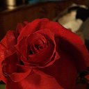  , -, 39  -  26  2016    