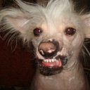  Angell,  -  26  2016    