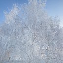 ���� �������, ������� - ��������� 24 ������ 2016 � ������ ���� ����� ������