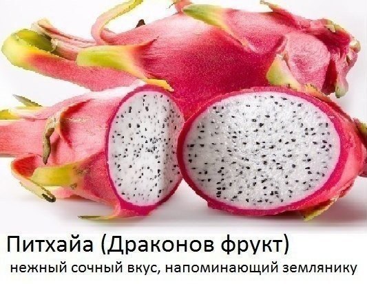 ��� ����� ������ ����������� �� �����! - 2