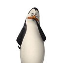 ���� ���������, ���������, 31 ��� - ��������� 8 ������� 2015 � ������ ���� ����������