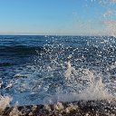  , , 60  -  10  2016     ,08.02.16.