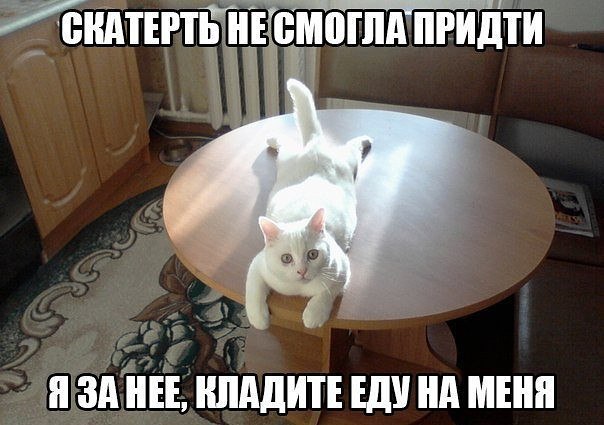 �������� �������� - 25 ������� 2015 � 19:11