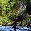 ���� �����, ������ - ��������� 29 ������ 2016 � ������ ���� ����������