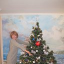  , , 62  -  31  2015    2016 