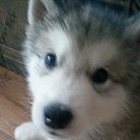 ���� �����, ������� - ��������� 29 ������ 2015 � ������ ������������ �������