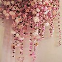 ���� ��������� ���������, ��������� - ��������� 22 ������� 2016 � ������ ���� ����������