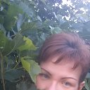 ���� ������, ������ - ��������� 10 ����� 2016 � ������ ���� ����������