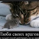 ���� ������, ������ - ��������� 11 ������ 2015 � ������ ������ ��������