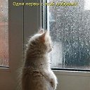 ���� ���������, ��������� - ��������� 22 ������� 2015 � ������ ���� ����������