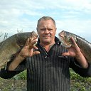 ���� �����, �������, 59 ��� - ��������� 26 ������� 2016