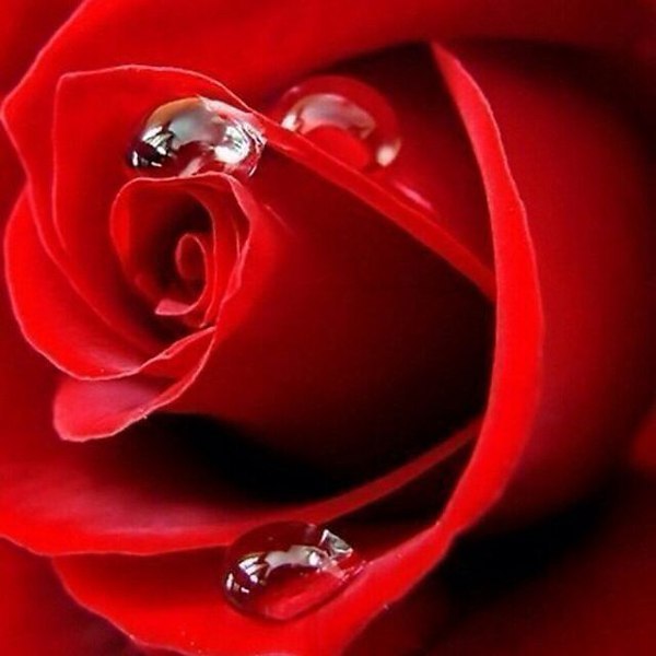   ,   ,      ...... ,   ... - 4