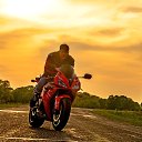 ���� �����, �����������, 36 ��� - ��������� 10 ������� 2015 � ������ ���� ����������