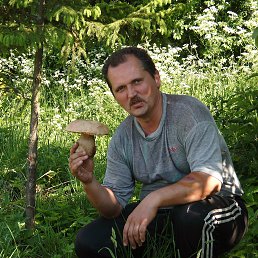 ������, ����, 64 ����