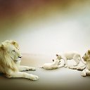 ���� ������, ���������, 41 ��� - ��������� 10 ����� 2016 � ������ ���� ����������