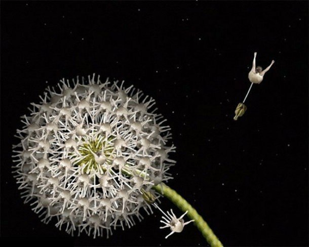 ��������� ���������� ������� ������.���������� ������ ��������� �� ���-��������� ������� ������ ... - 5