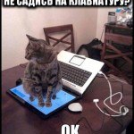  )) - 21  2016  15:28