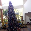 ���� �����, ����-���������, 45 ��� - ��������� 11 ������� 2016 � ������ ���� ����������