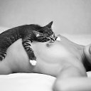 ���� ����, �����, 38 ��� - ��������� 26 �������� 2015 � ������ �������