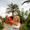 ���� ����, ����, 66 ��� - ��������� 19 ������� 2015 � ������ ���� ����������